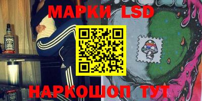 амф Кимры