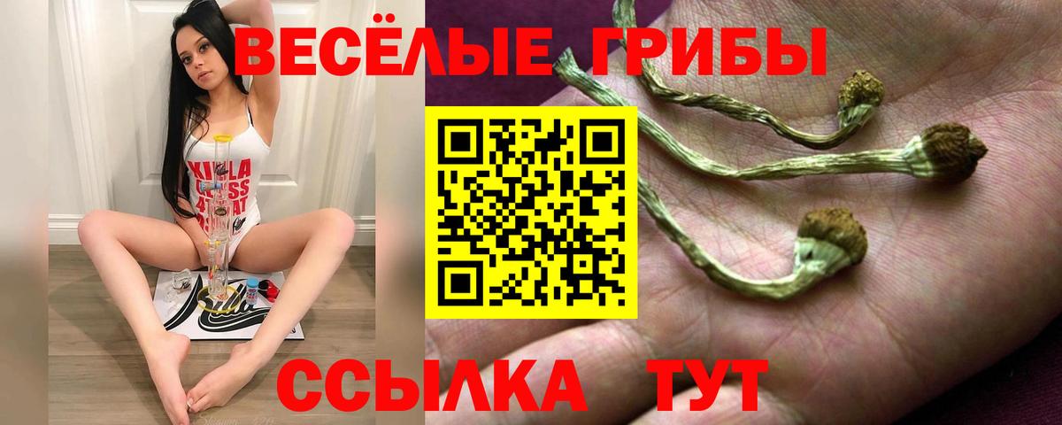 Галлюциногенные грибы Cubensis  Вход с VPN  Псилоцибиновые грибы мухоморы  Красноармейск 